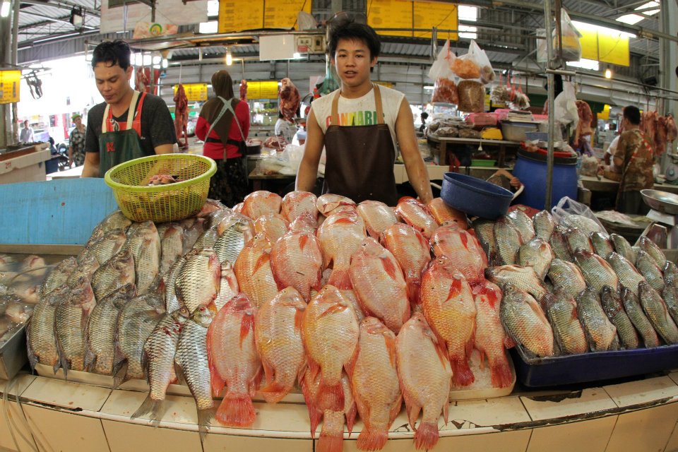 21426_สินค้า  ปลา.jpg