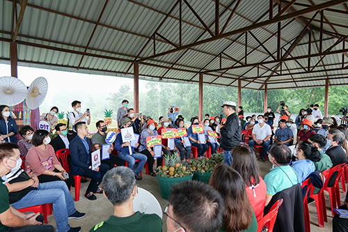 อมก๋อยโมเดลช่วยสับปะรดเชียงราย