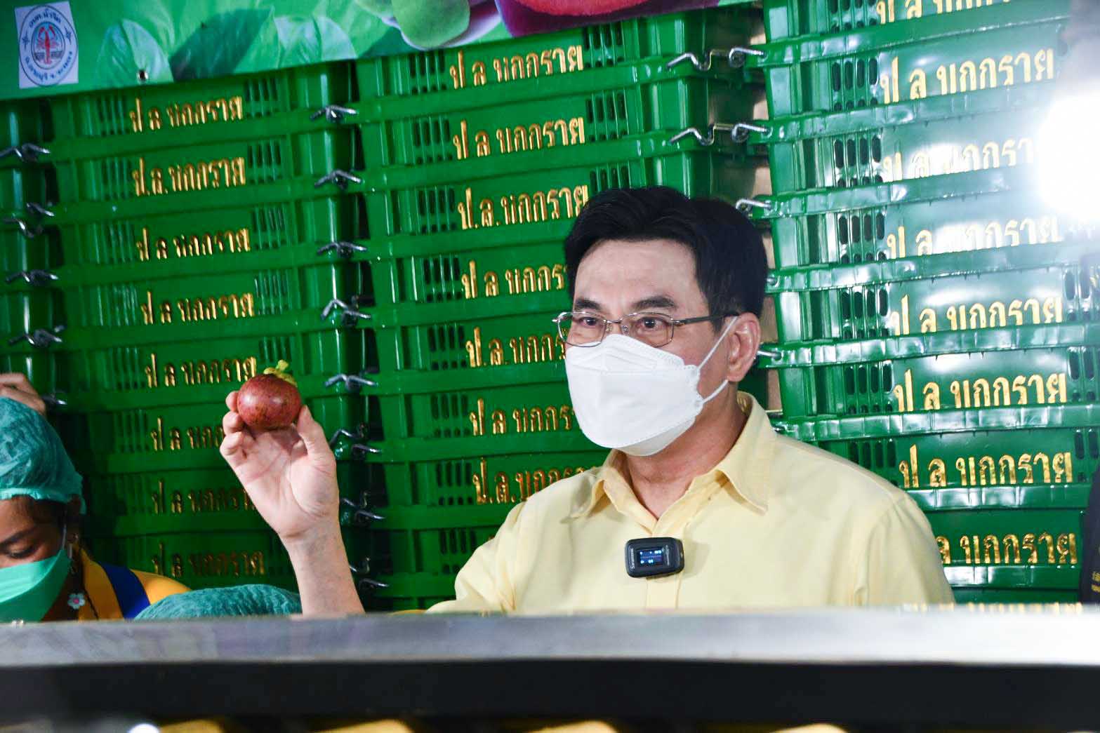 อธิบดีกรมการค้าภายใน ร่วมติดตามโครงการประกันรายได้เกษตรกรชาวสวนปาล์มน้ำมันและสถานการณ์ราคาสินค้าเกษตร (มังคุด)