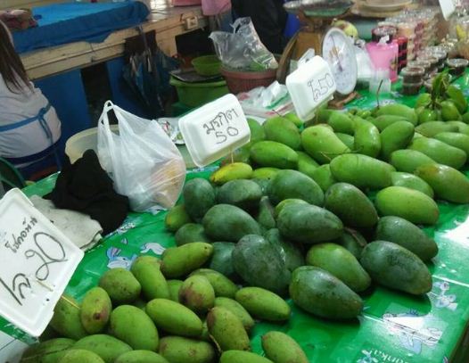 44565_ร้านขายมะม่วง.JPG