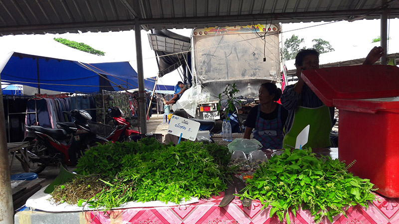 46324_แผงค้า ผัก.jpg