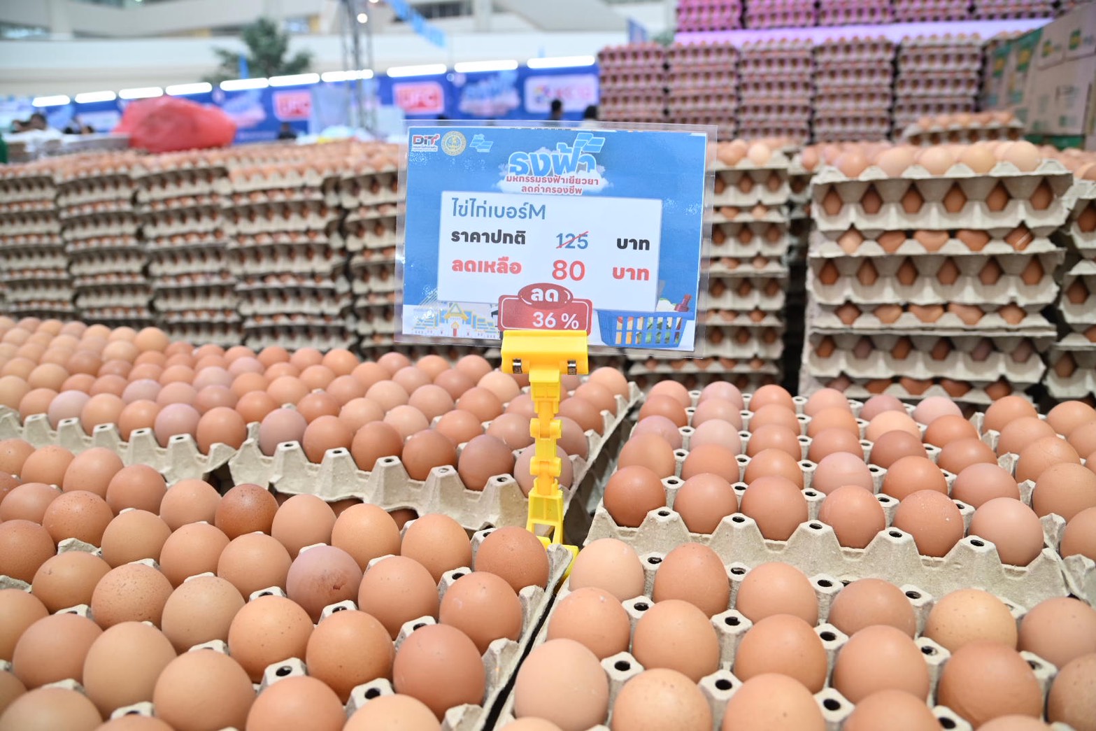 ข่าวเลขที่ 61/2569 ธงฟ้าเปิดฉาก! ลดค่าครองชีพคนกรุง 3 วัน ที่ศูนย์ราชการแจ้งวัฒนะ คาดเงินสะพัดกว่า 30 ล้านบาท สนับสนุนผู้ประกอบการ 7 ชายแดนเพิ่มรายได้ (14 มกราคม 2568)