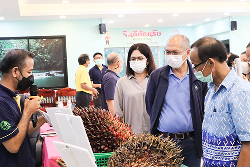 กรมการค้าภายในติดตามการดำเนินการตามมติคณะอนุกรรมการบริหารจัดการสมดุลน้ำมันปาล์ม