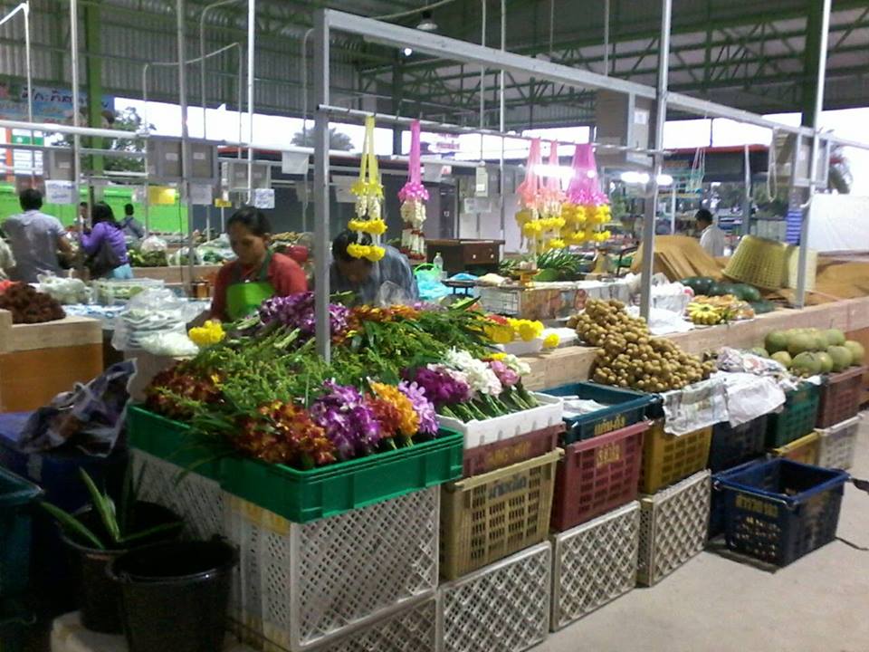 45012_แผงค้า ผลไม้.jpg