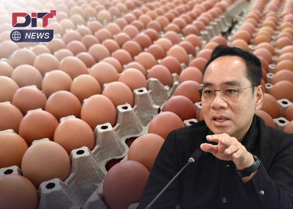 ข่าวเลขที่ 195/2569 พาณิชย์ลงพื้นที่ตรวจสอบไข่ไก่โคราช พบยังมีเพียงพอ ชี้ข่าวส่งออกจนขาดตลาดคลาดเคลื่อน ค้าภายในเร่งประสานปศุสัตว์บริหารปริมาณ–พาณิชย์กระจายสินค้า (11 สิงหาคม 2569)