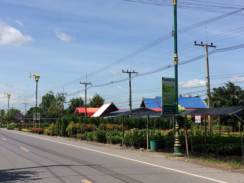 46543_สวน.jpg