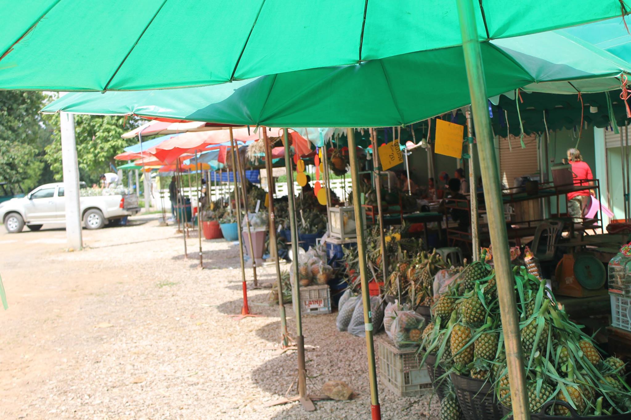 46684_บริเวณร้านค้า 1.jpg