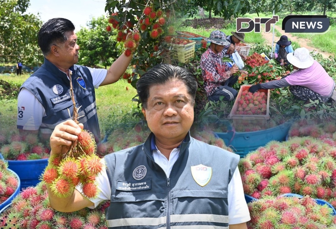 ข่าวเลขที่ 148/2569 พาณิชย์ ลุยช่วยเงาะตราดราคาตก ลงพื้นที่รับฟังชาวสวน ดึงห้างค้าปลีกเร่งรับซื้อ พยุงราคา–กระจายผลผลิตออกนอกแหล่งผลิต (28 พฤษภาคม 2569)