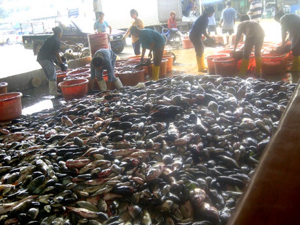 21547_ตลาดปลา 1.jpg