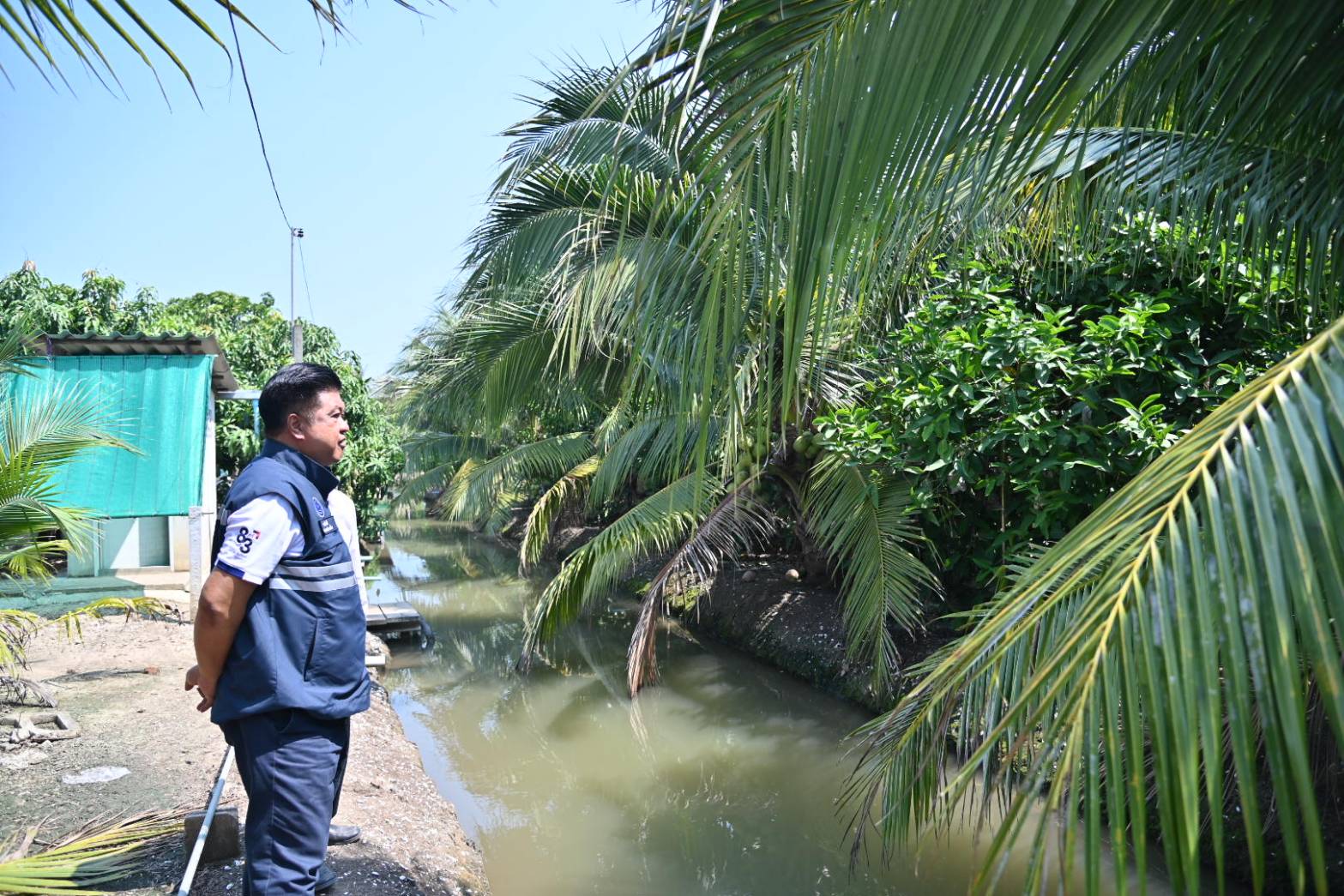 DIT จับมือ CP Axtra เร่งระบายมะพร้าวน้ำหอมราชบุรี