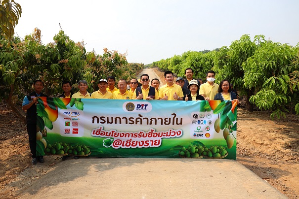 พาณิชย์จับมือเอกชน เชื่อมโยงรับซื้อมะม่วง@เชียงราย