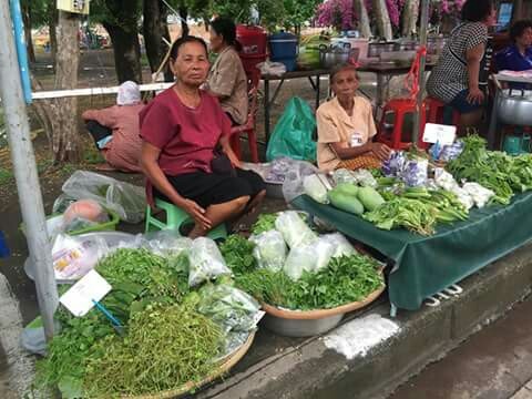 45916_ร้านขายผัก 3.jpg