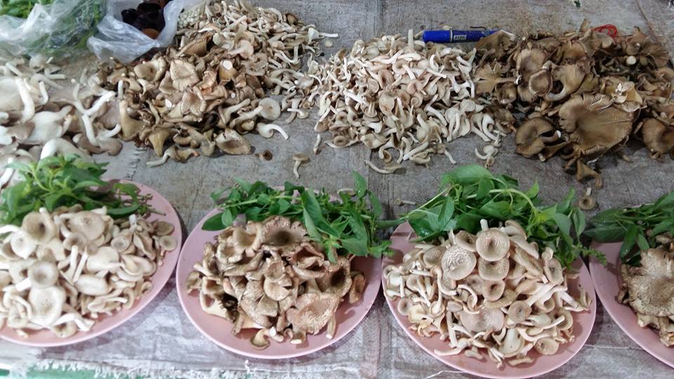 33968_แผงค้า ผัก.jpg