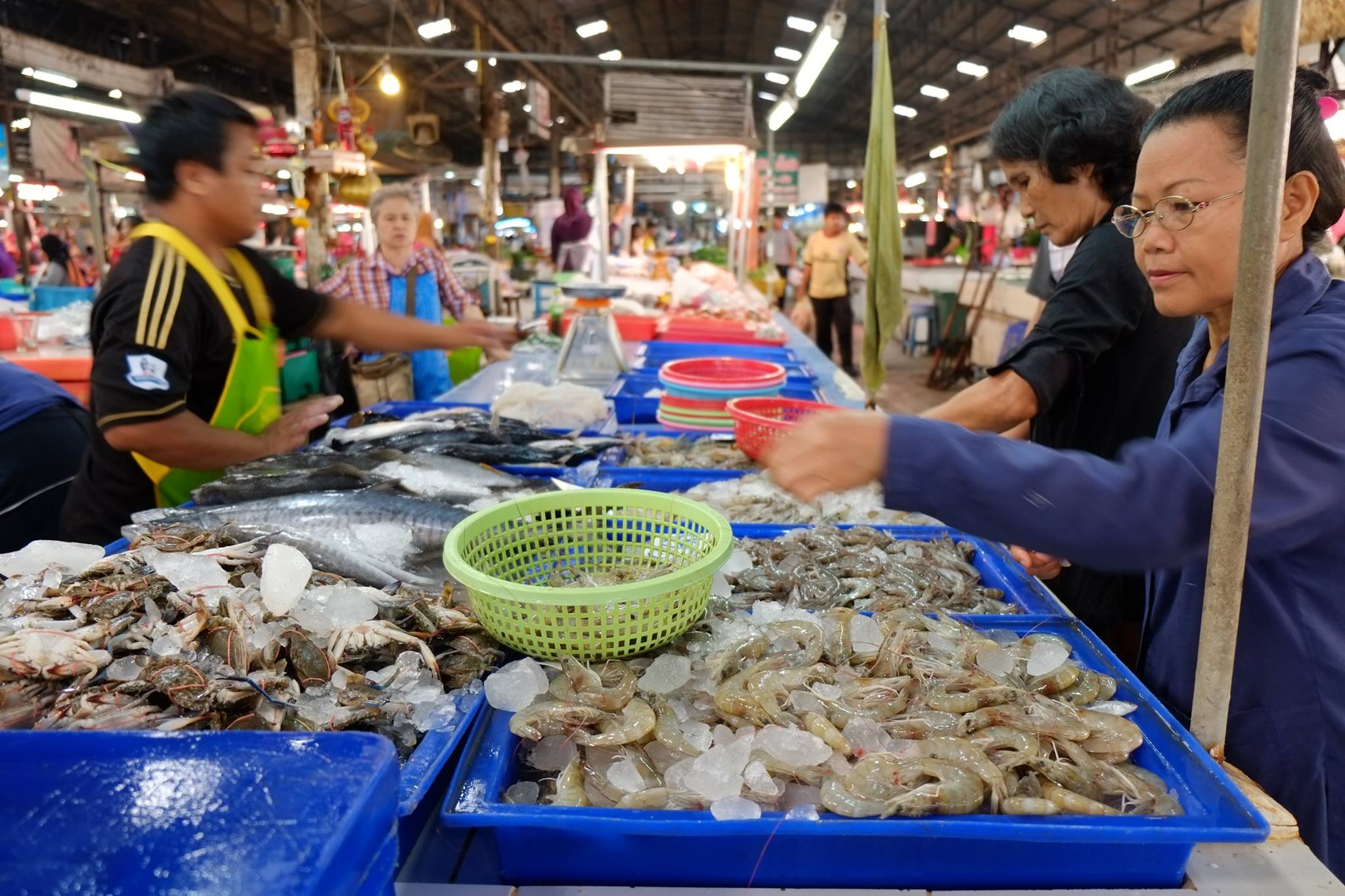 22726_แผงค้าอาหารทะเล.jpg