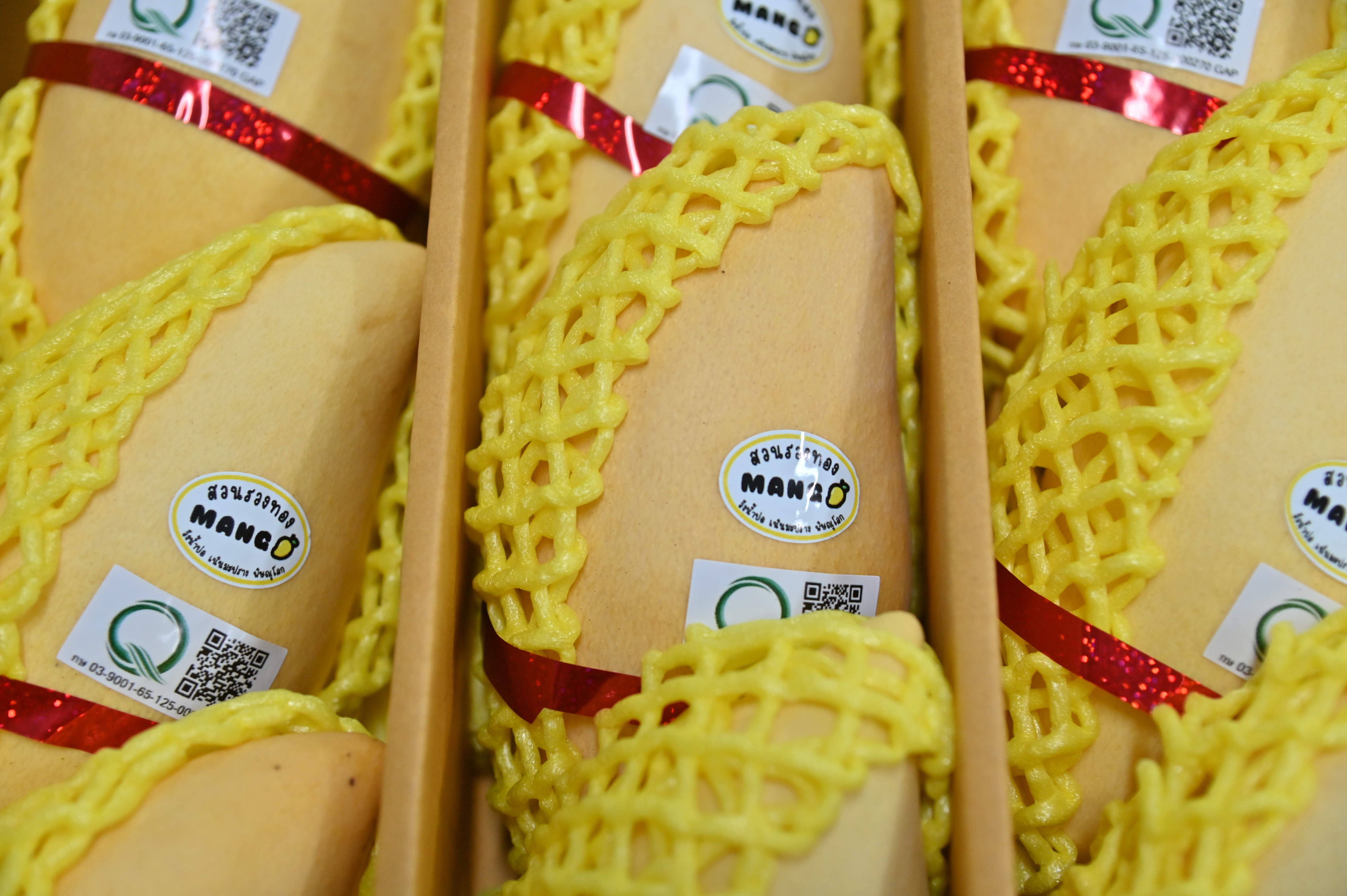 DIT กรมการค้าภายใน ผนึกกำลังหน่วยงานพันธมิตร  ลุยช่วยมะม่วงภาคเหนือตอนล่าง  รับซื้อผลผลิตจากเกษตรกรเพิ่มเติม