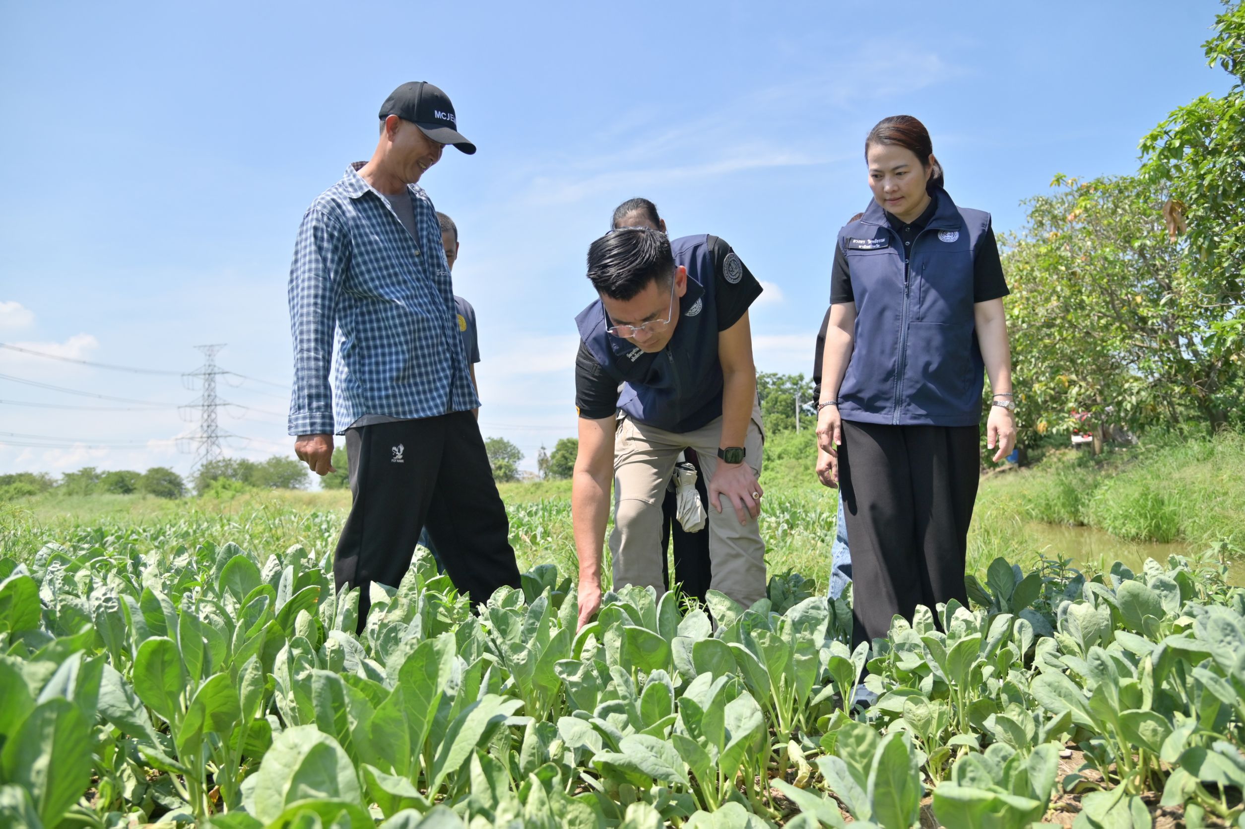 ข่าวเลขที่ 7/2570 “กรมการค้าภายใน” ผนึกผู้ค้าดูแลราคาสินค้ารับเทศกาลกินเจ วัตถุดิบหลายรายการลดลง ผักเริ่มคลี่คลาย (9 ตุลาคม 2569)