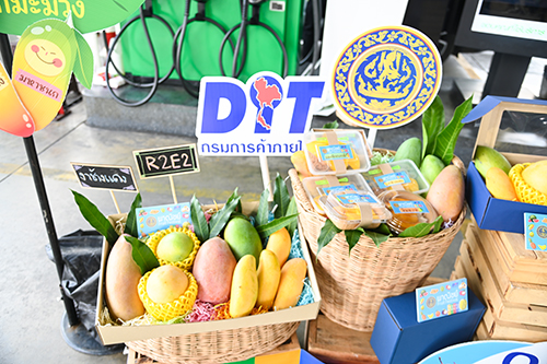 พาณิชย์จับมือปั้มพีที แจกมะม่วงแฟนซี เป็นของสมนาคุณผู้เติมน้ำมัน