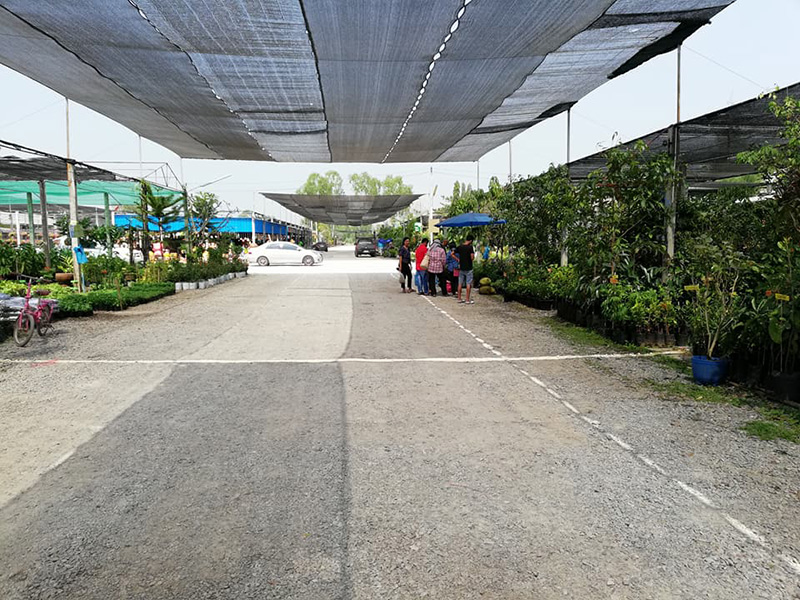 57119_ภาพรวมตลาด 2.jpg