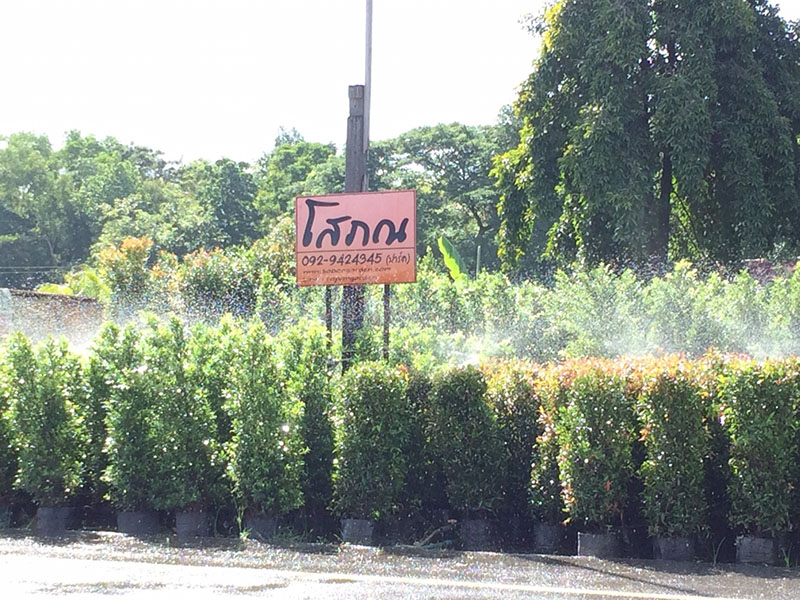46538_สวน.jpg