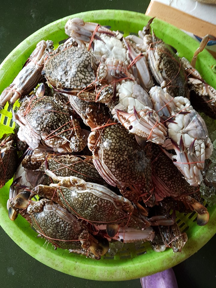 45155_ปู.jpg