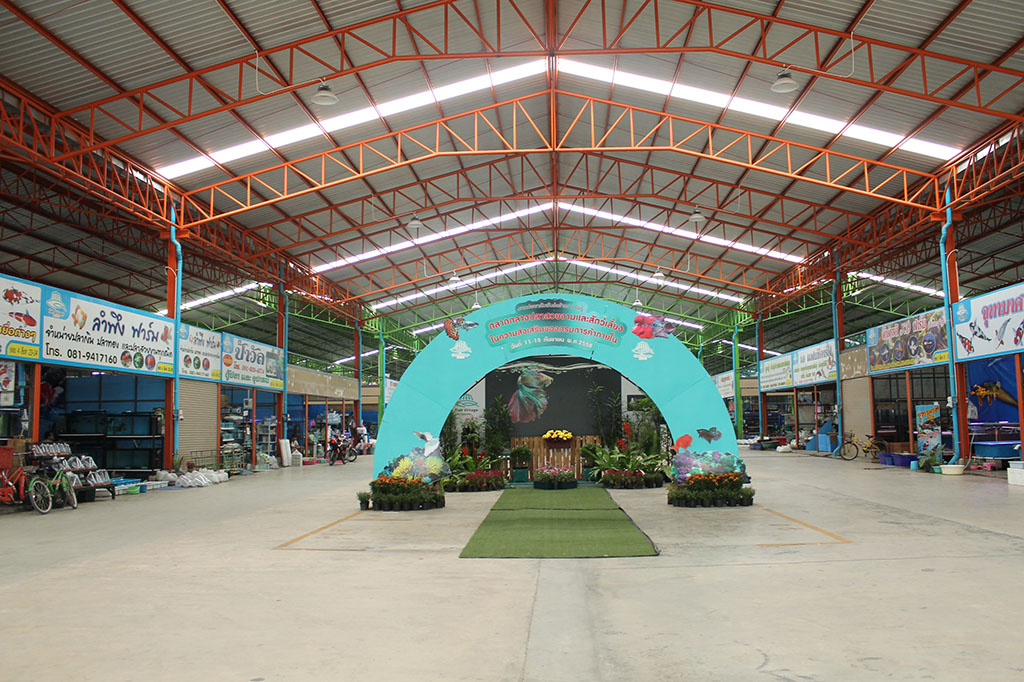 22147_ภายในตลาด 1.JPG