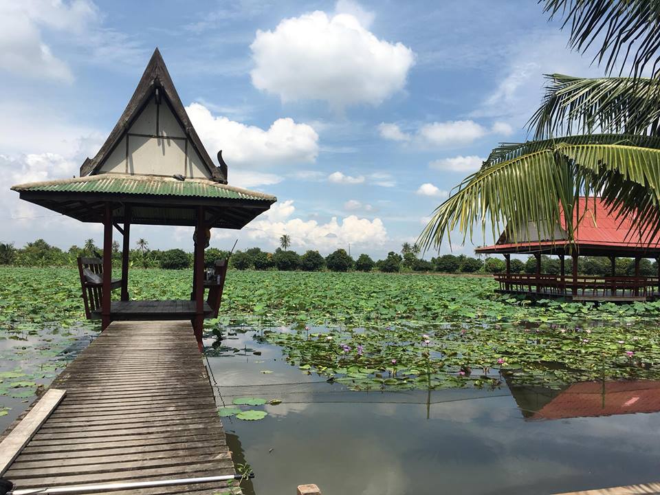 77984_ริมคลอง.jpg