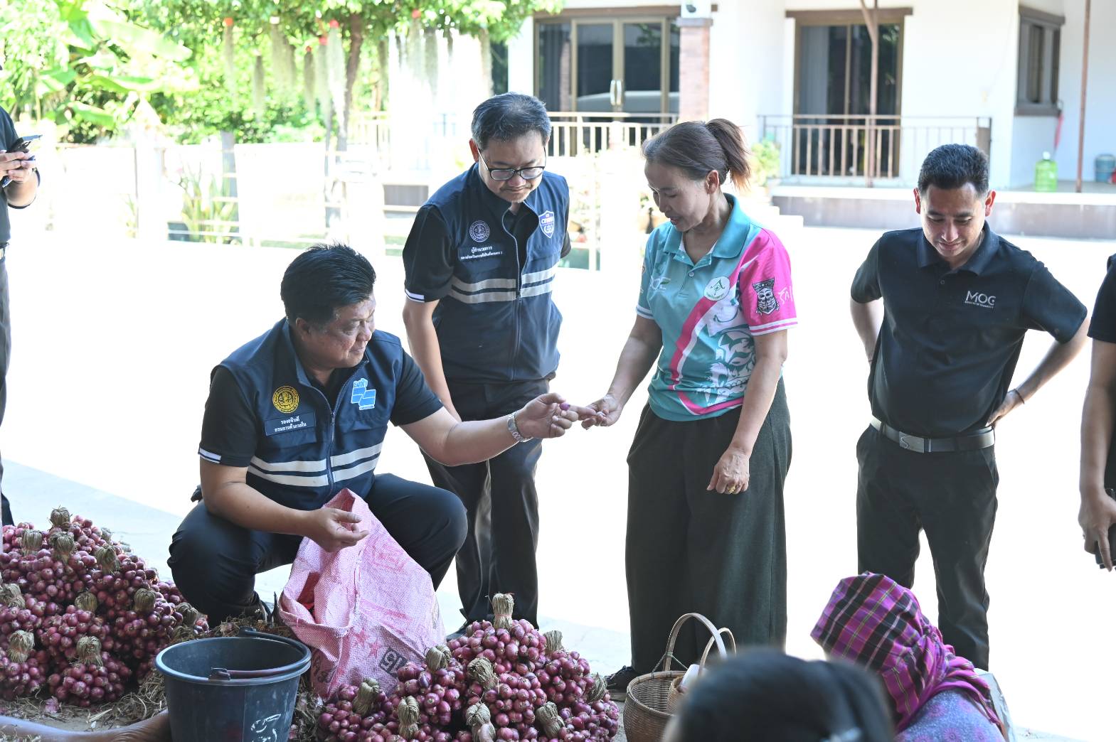 DIT ลงพื้นที่ตรวจเยี่ยมกิจกรรมการกระจายหอมแดงจังหวัดศรีสะเกษ