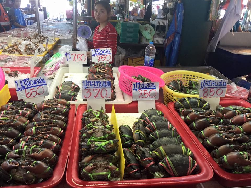 10872_สินค้าที่จำหน่าย 3.jpg