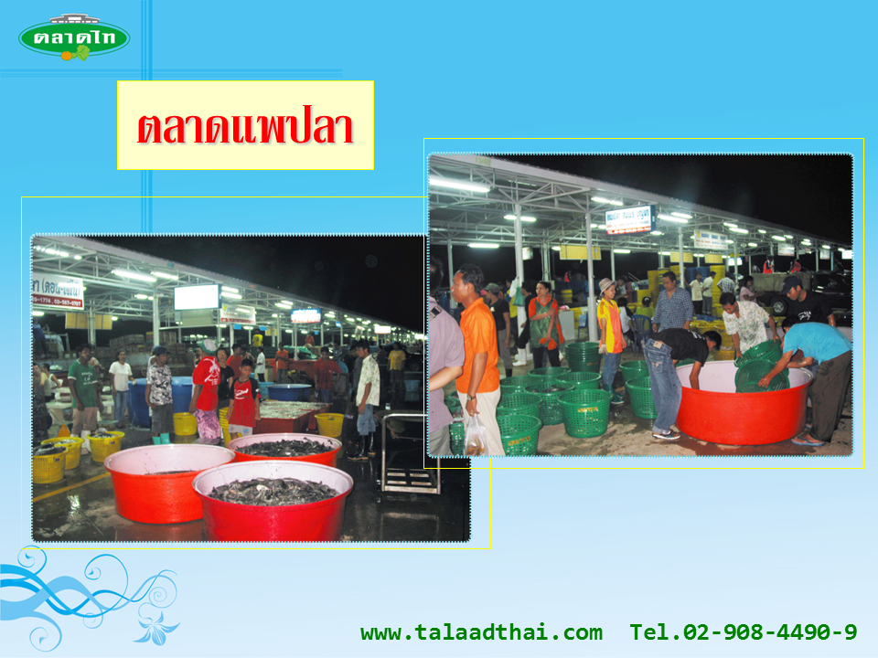 45124_ตลดาแพปลา.PNG