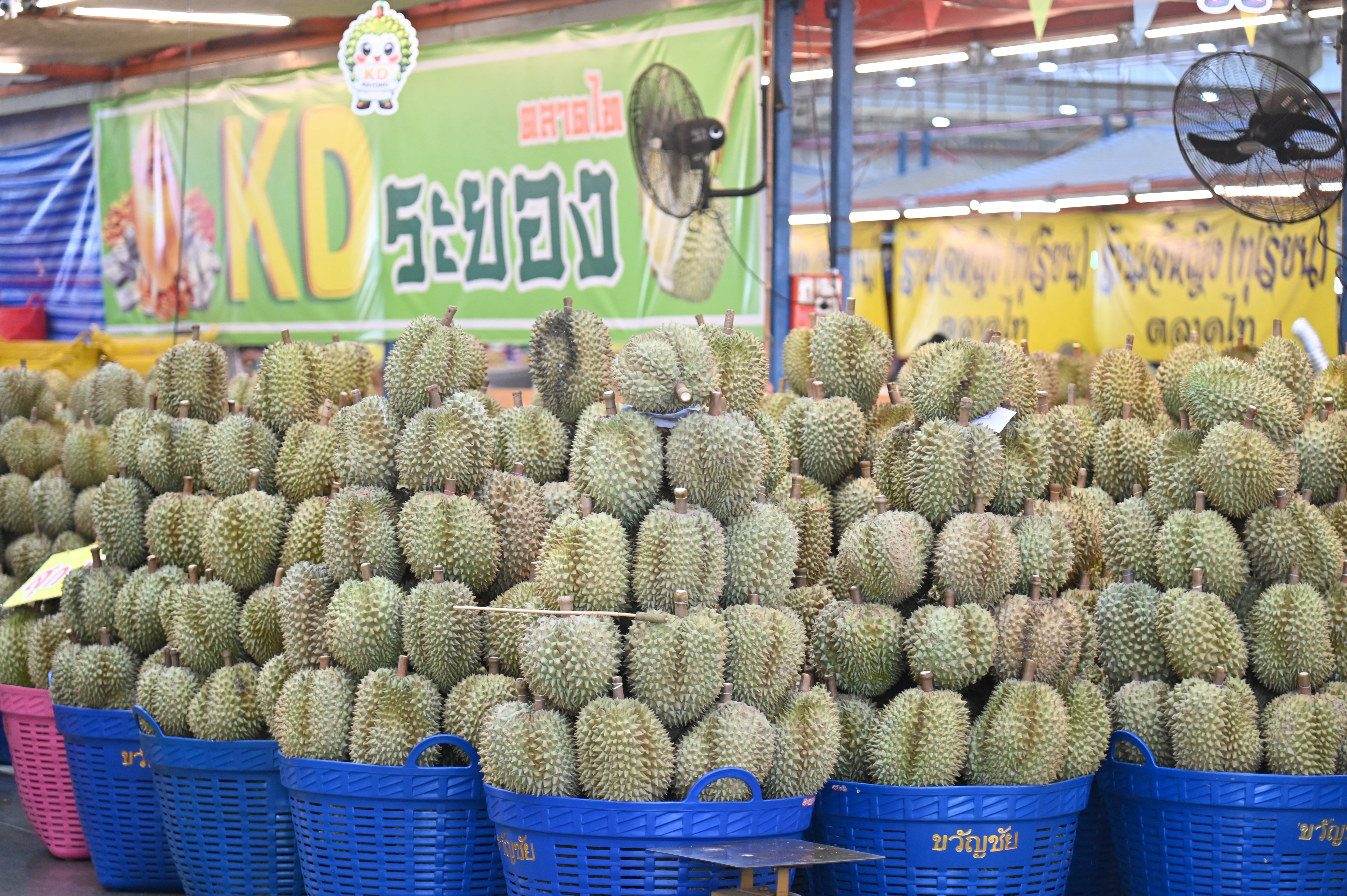 ข่าวเลขที่ 158/2569 พาณิชย์ลุยบริหารจัดการผลไม้ปี 69 ดึงตลาดกลาง–ตลาดสดทั่วประเทศดูดซับผลผลิต หนุนรายได้เกษตรกร (6 มิถุนายน 2569)