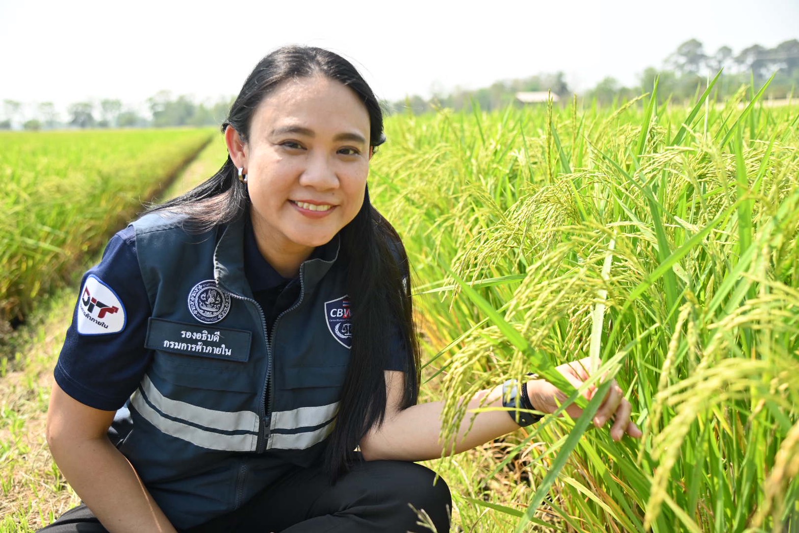  DIT ลงพื้นที่ “พิจิตรแซนด์บ็อกซ์”  กลุ่มเกษตรกรข้าวประณีตต้นแบบนาดำคาร์บอนต่ำ  เพิ่มผลผลิต ลดฝุ่น PM2.5 และตรวจสอบสถานีบริการน้ำมัน