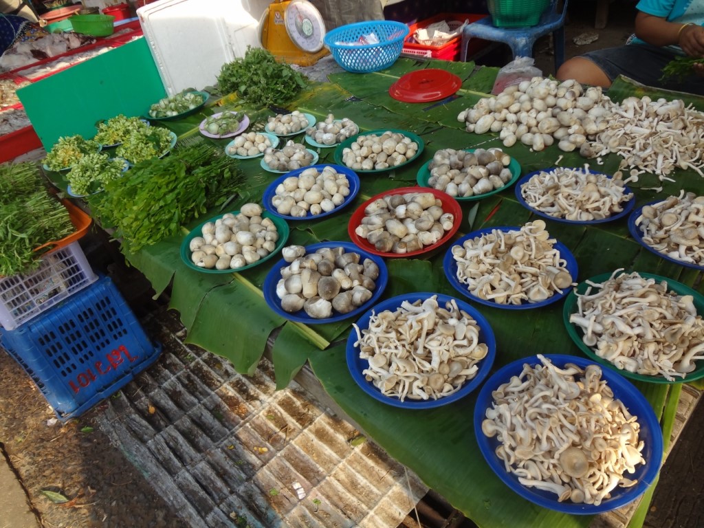 11358_บริเวณภายในตลาด.jpg