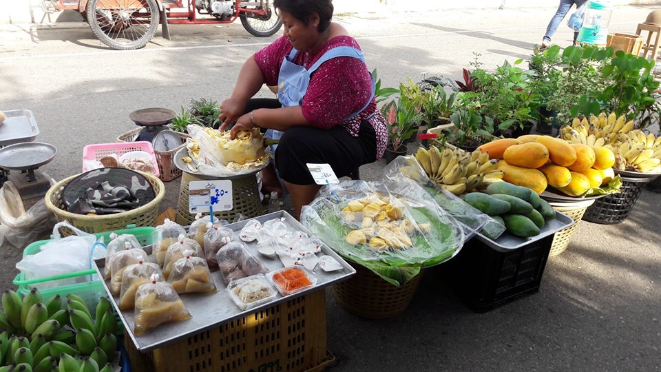 67654_แผงค้าผลไม้.jpg