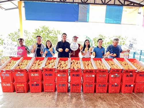 “พาณิชย์” ลงพื้นที่พิจิตร-พิษณุโลก ปิดจ๊อบช่วยมะม่วง เผยปีนี้ราคาดีต่อเนื่อง