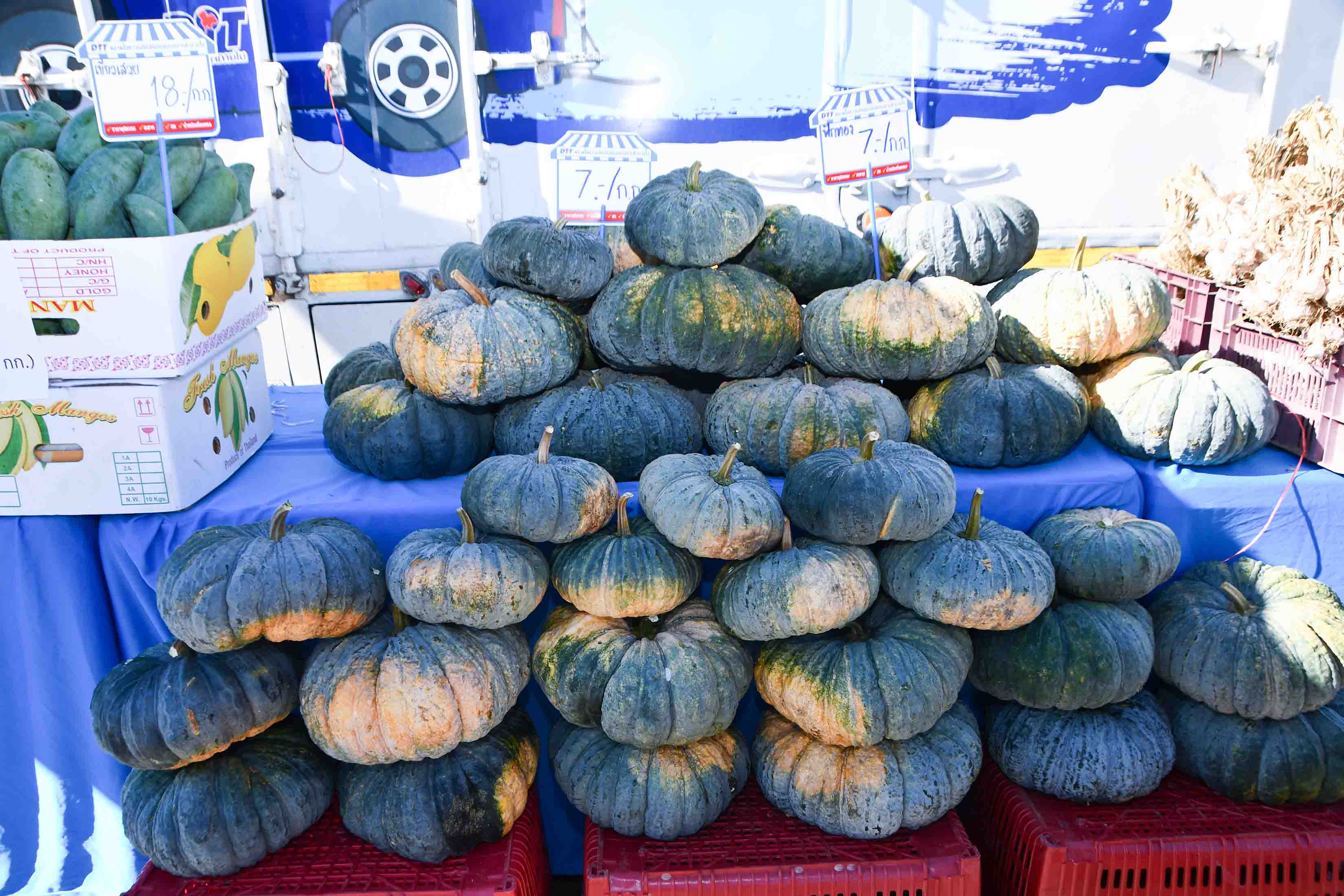 อธิบดีลงพื้นที่ตรวจเยี่ยมชมโครงการ "Mobile พาณิชย์ลดราคา! ช่วยประชาชน”