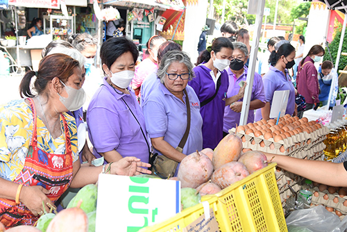 พาณิชย์นำ "มะม่วงแฟนซี" มากระจายผ่านรถโมบาย @ตลิ่งชัน
