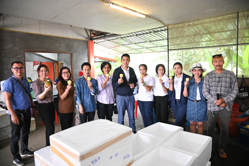 พาณิชย์ติดตามการค้าลำไยและสับปะรดภาคเหนือ