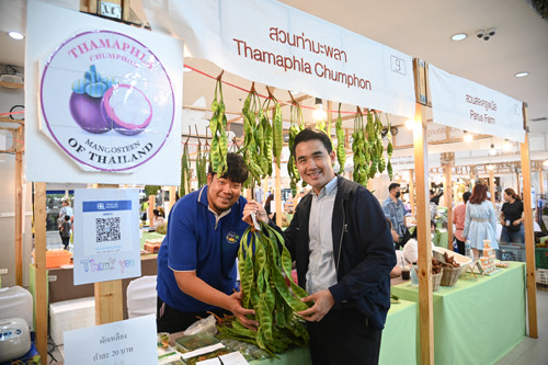 พาณิชย์ร่วมงาน "ของดีชุมพร มหานครผลไม้"