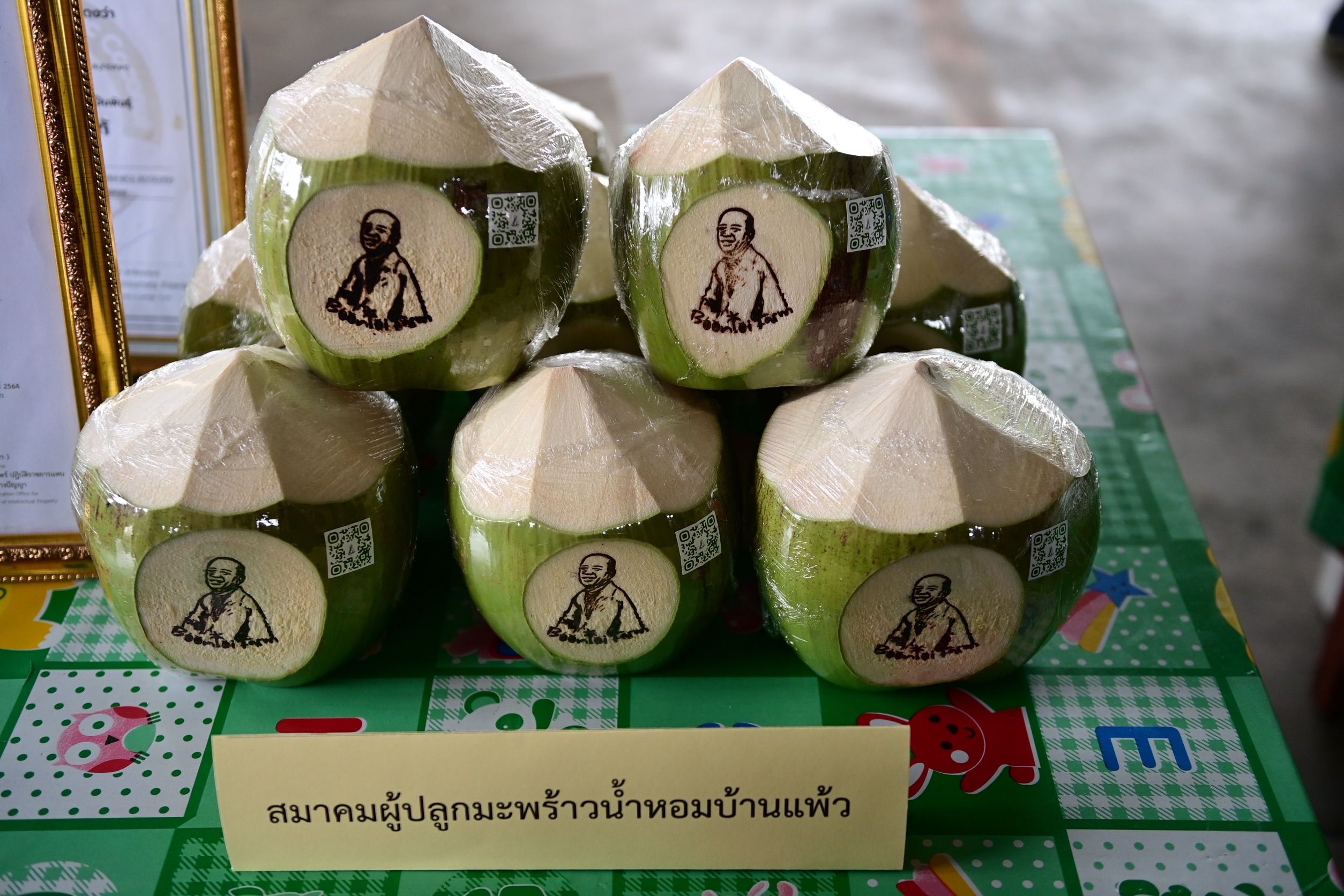 พาณิชย์ลงพื้นที่ติดตามสถานการณ์มะพร้าวน้ำหอม และความพร้อมในการตั้ง “ล้งชุมชน” 