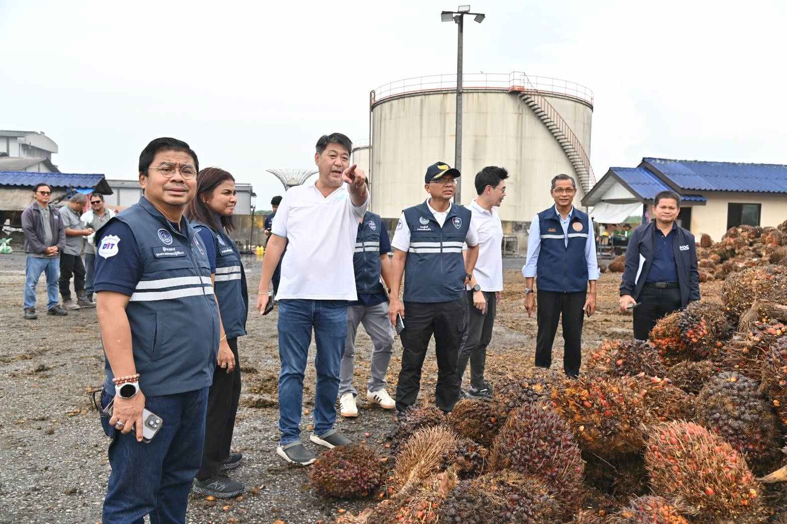 พาณิชย์ตรวจเข้มจุดรับซื้อปาล์ม 8 จังหวัดใต้ ดันราคารับซื้อผลปาล์มเพิ่มสูงขึ้น