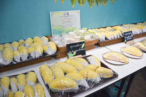 ความร่วมมือสนับสนุนเกษตรกรทุเรียนกระจายสินค้าภายในประเทศ