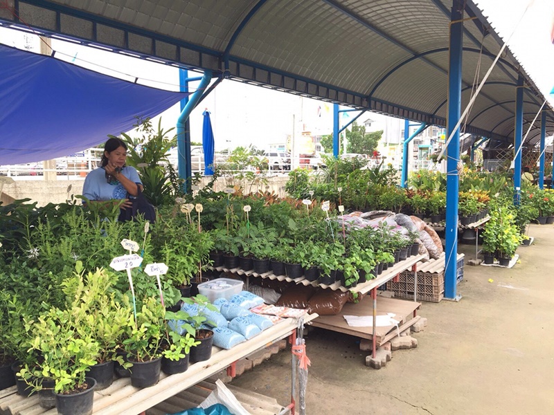 23037_บริเวณตลาด 6.jpg