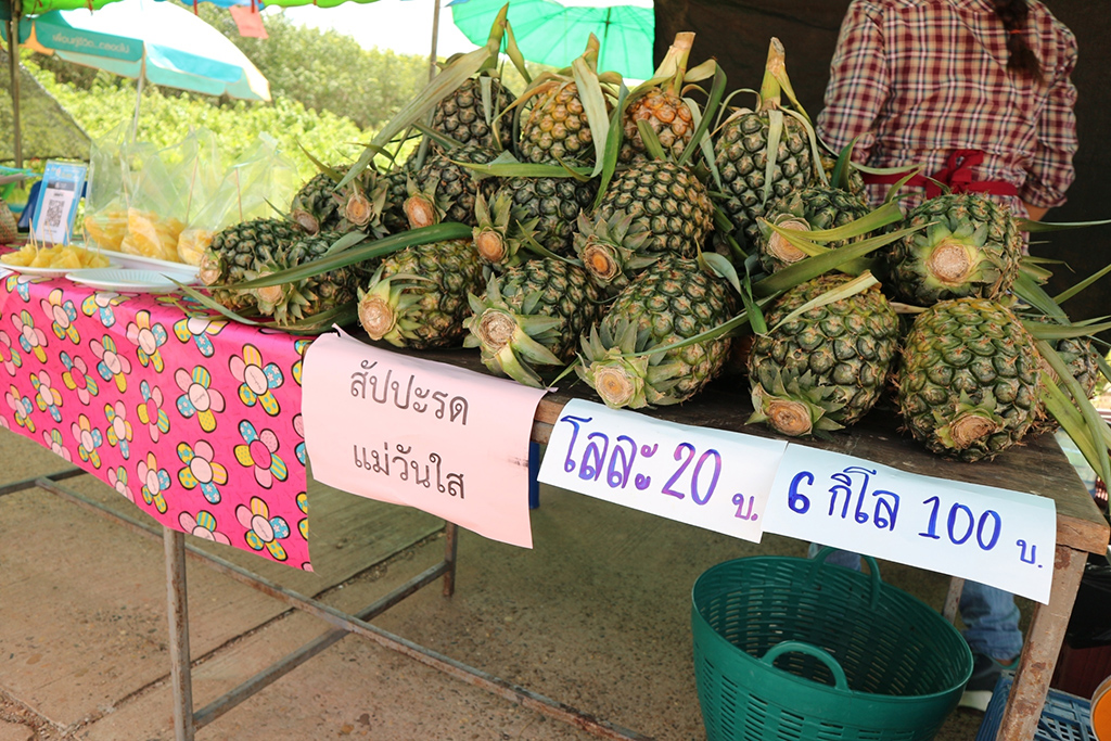 67695_แผงค้าผลไม้.jpg