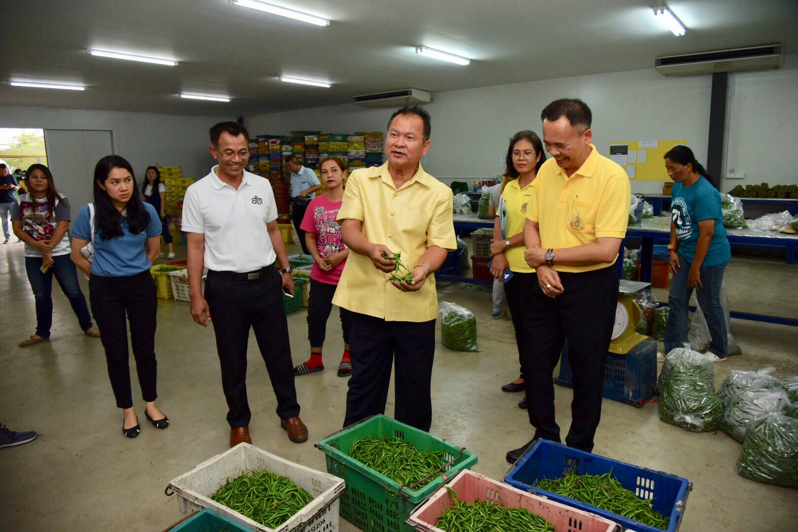 ลงพื้นที่เพื่อตรวจติดตามสถานการณ์ผัก ณ ตลาดกลางศรีเมือง 