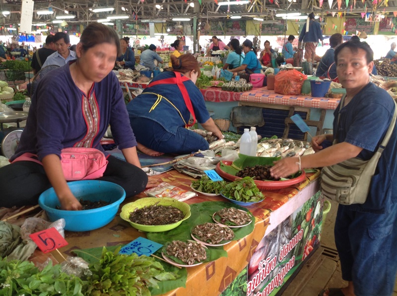 22848_สินค้าของป่า.jpg