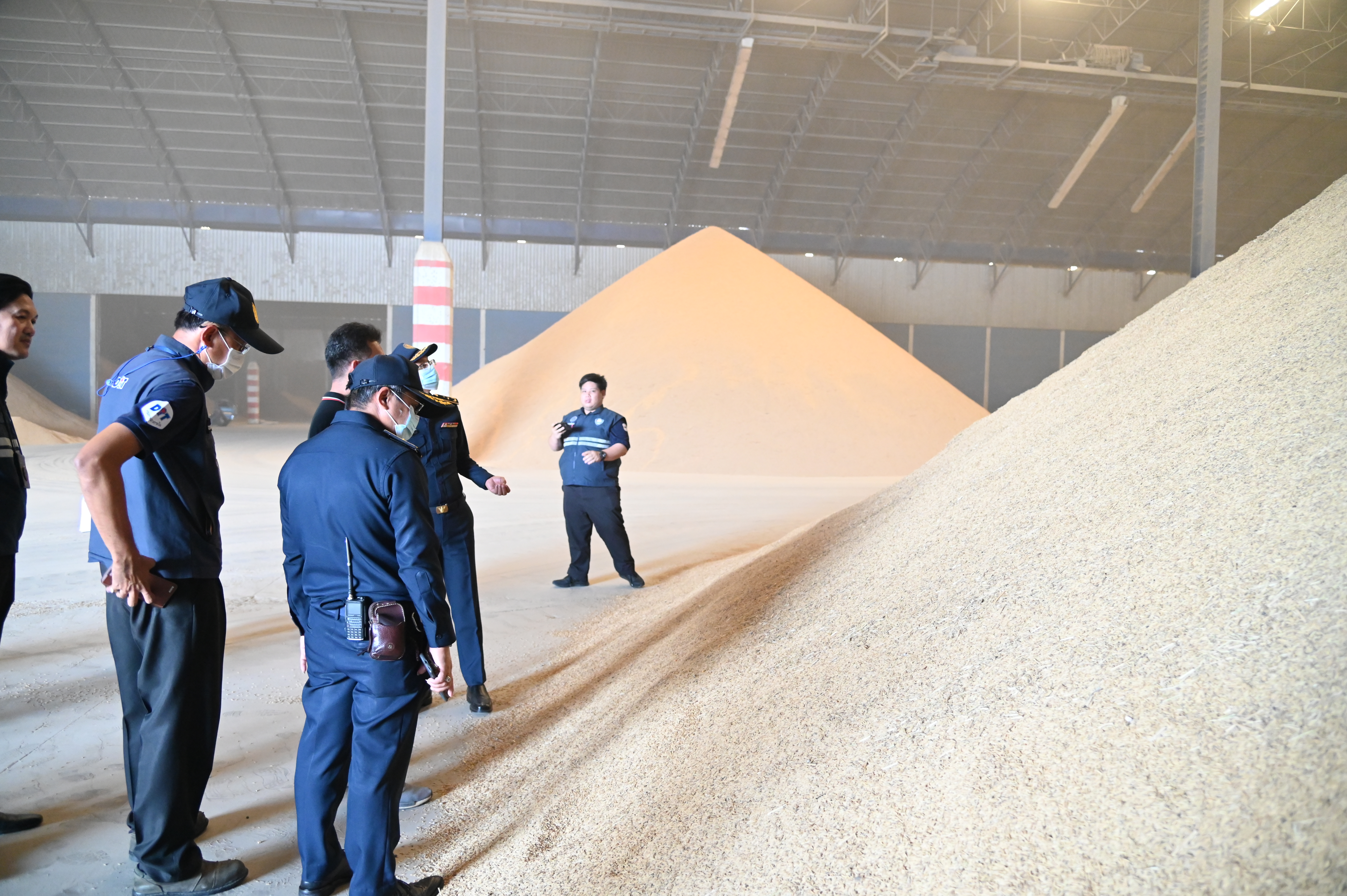 ข่าวเลขที่ 9/2569 DIT ยืนยันดูแลราคาข้าวเหนียวเชียงใหม่อย่างใกล้ชิด เดินหน้ามาตรการพยุงราคา-ลดต้นทุน-ตรวจสอบการรับซื้อ ช่วยเกษตรกรขายได้ในระดับที่เป็นธรรม (16 ตุลาคม 2568)