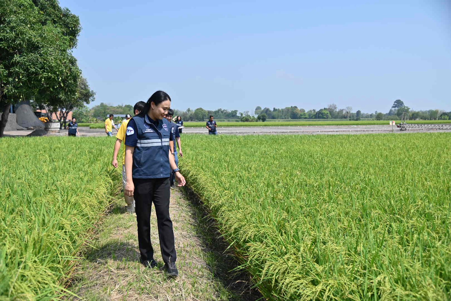  DIT ลงพื้นที่ “พิจิตรแซนด์บ็อกซ์”  กลุ่มเกษตรกรข้าวประณีตต้นแบบนาดำคาร์บอนต่ำ  เพิ่มผลผลิต ลดฝุ่น PM2.5 และตรวจสอบสถานีบริการน้ำมัน