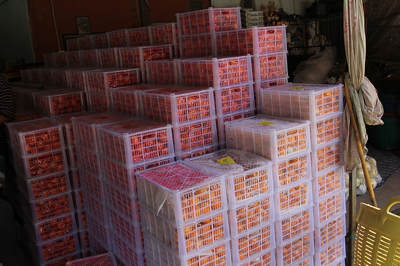 21953_บรรจุภัณฑ์.JPG