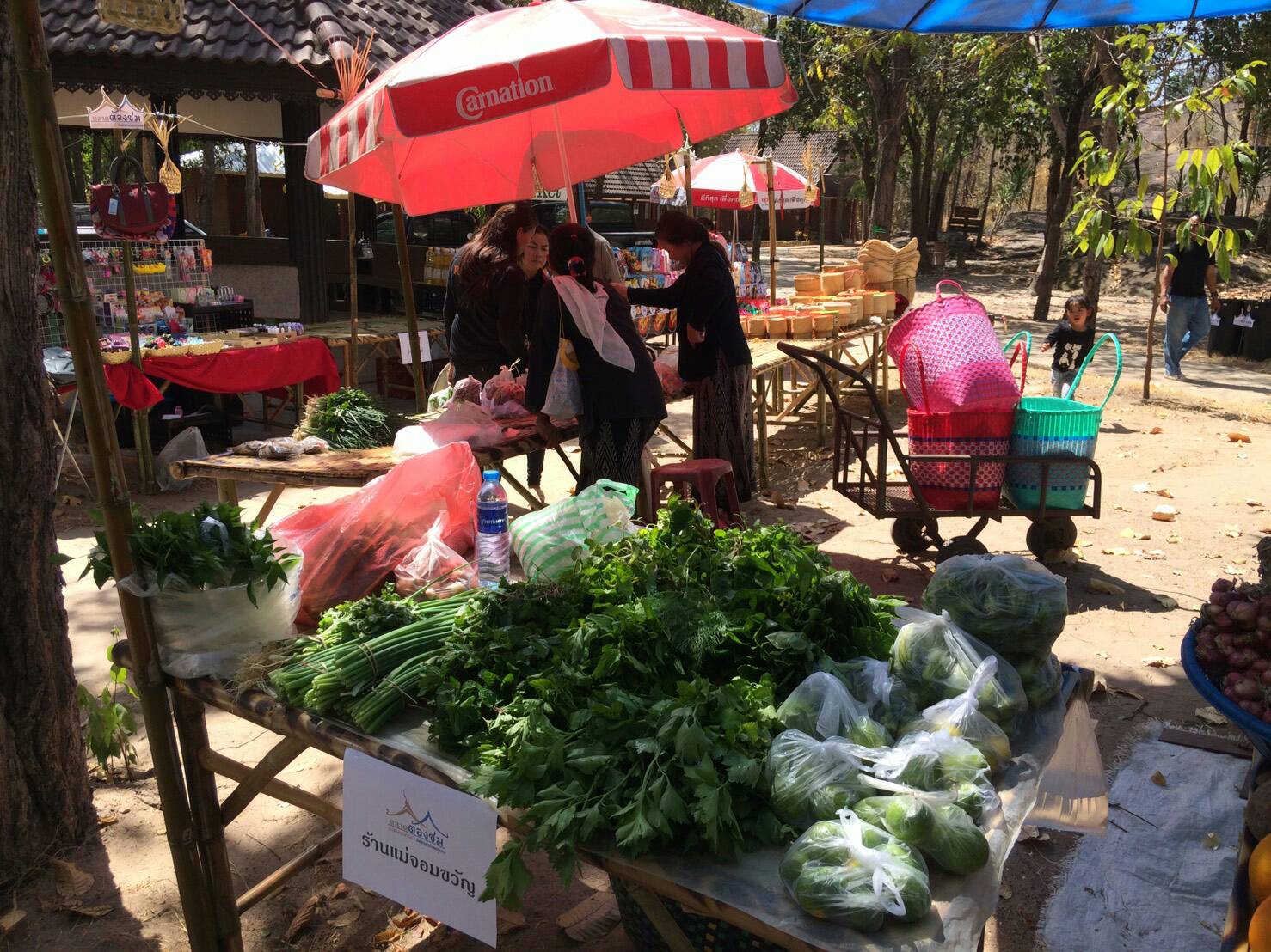 45383_แผงค้า ผัก.jpg