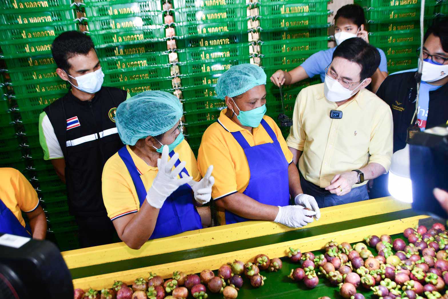 อธิบดีกรมการค้าภายใน ร่วมติดตามโครงการประกันรายได้เกษตรกรชาวสวนปาล์มน้ำมันและสถานการณ์ราคาสินค้าเกษตร (มังคุด)